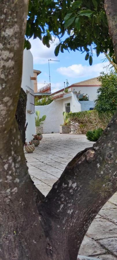 Voscenza Benerica Villa Vittoria Eksteriør bilde